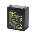 BATTERIA RICARICABILE PIOMBO 12V 2,9Ah IMPORT