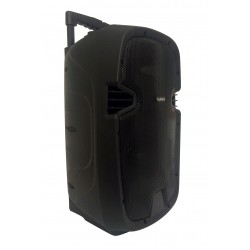 CASSA AMPLIFICATA 200W TROLLEY CON LETTORE MP3 BLUETOOTH E RADIO
