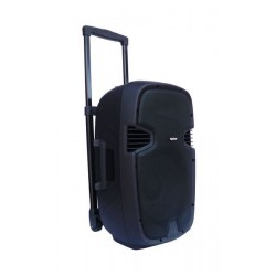 CASSA AMPLIFICATA 350W TROLLEY CON LETTORE MP3 BLUETOOTH E RADIO 12 POLLICI