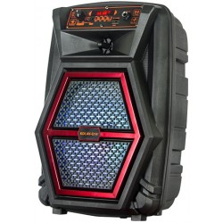CASSA AMPLIFICATA 20W PORATATILE CON LETTORE MP3 BLUETOOTH SD/USB/RADIO