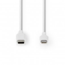 CAVO USB LIGHTNING - USB TYPE C MT.1,00