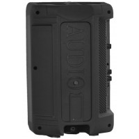 CASSA AMPLIFICATA 20W CON LETTORE MP3 BLUETOOTH E RADIO