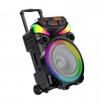 CASSA AMPLIFICATA 40W TROLLEY CON LETTORE MP3 BLUETOOTH SD/USB E LUCI LED