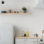 RIVELATORE COMBINATO DI GAS METANO E MONOSSIDO DI CARBONIO 220Vca