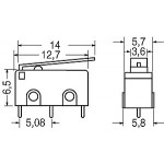 MICROSWITCH 13x10 CON LEVA