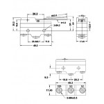MICROSWITCH CON LEVA TM1701